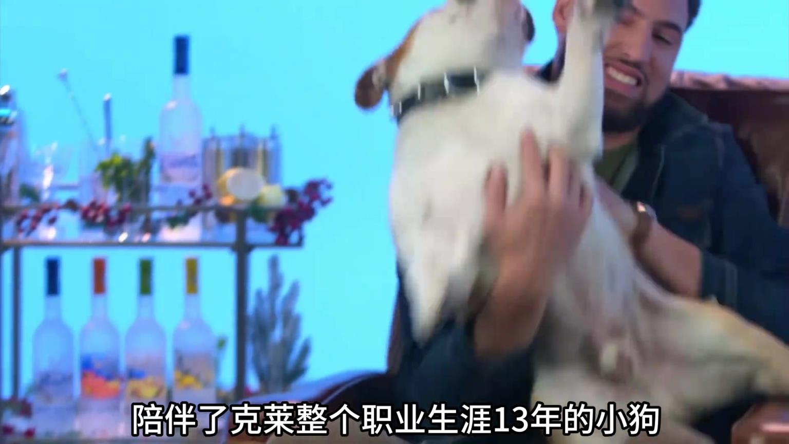 陪伴克萊13年的小狗去世了，不敢相信克萊得多么傷心